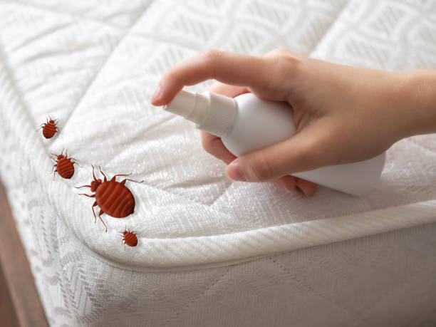 Professional Pest Control in Gaithersburg, MD